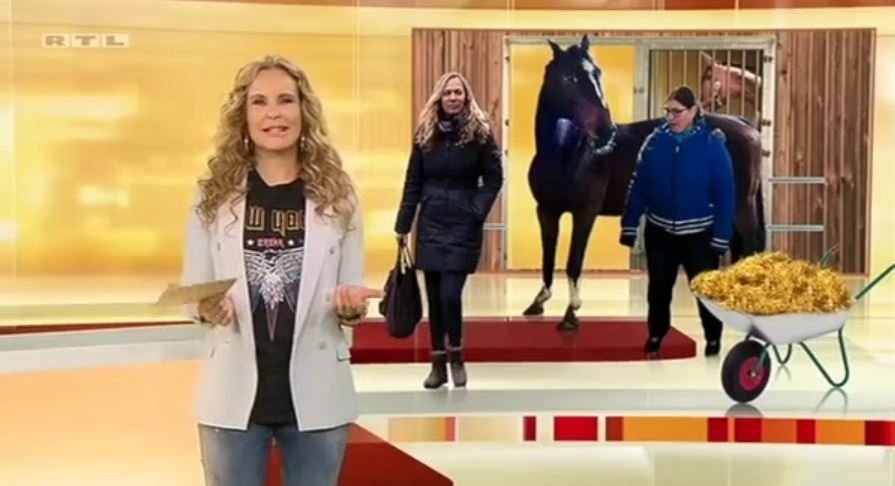 pferdeflüsterin rtl