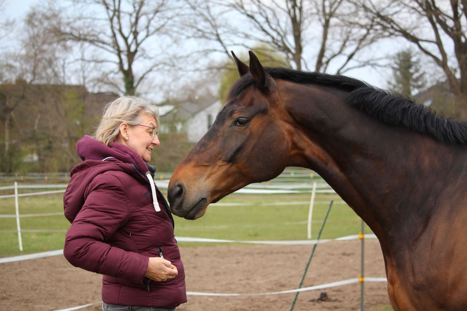 Braunes Pferd und seine Besitzerin blicken sich an