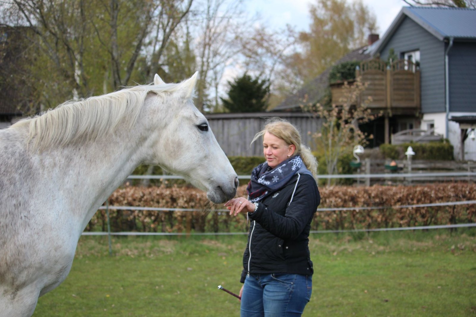 Weißes Pferd steht mit seiner Besitzerin auf der Koppel