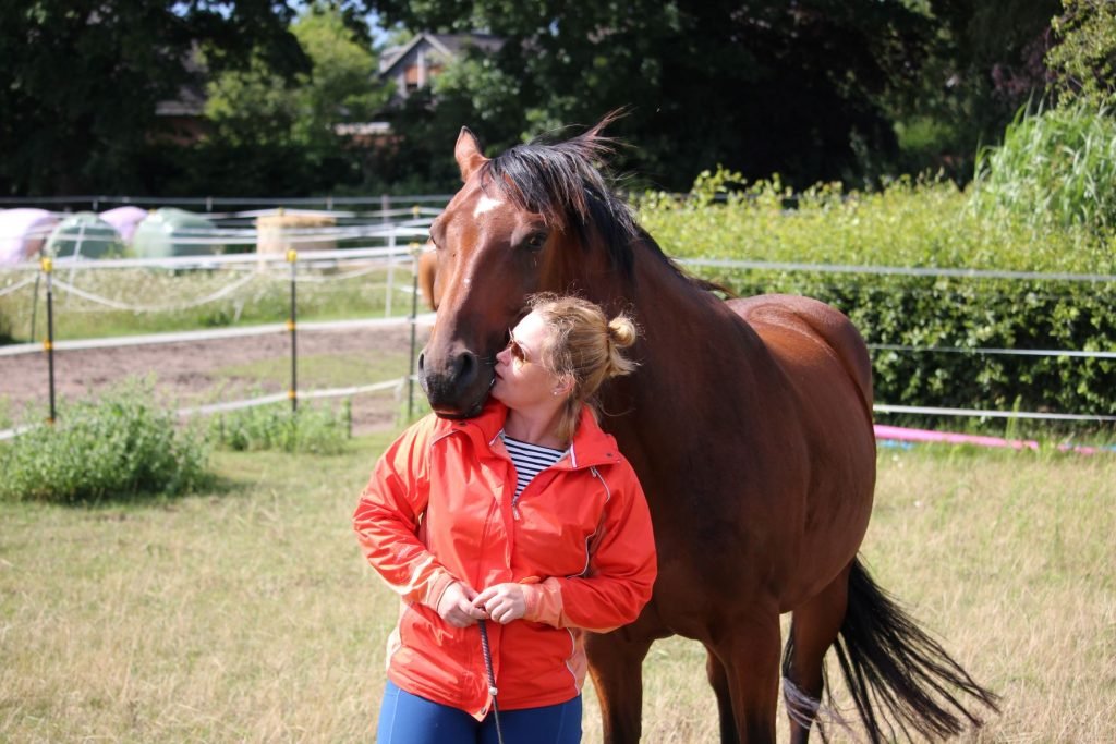 Pferd legt seinen Kopf auf die Schulter einer Frau