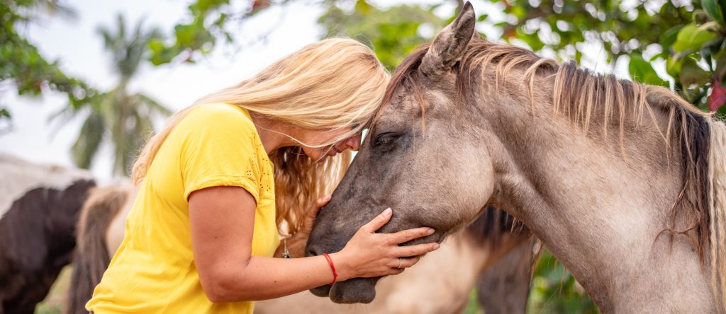 Gesrpäch mit dem Pferd