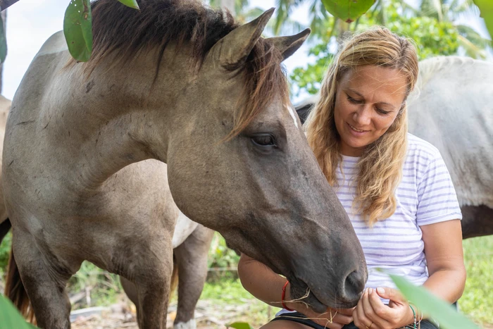 Catherin Seib im Pferdegespräch – Tierkommunikation mit Pferden