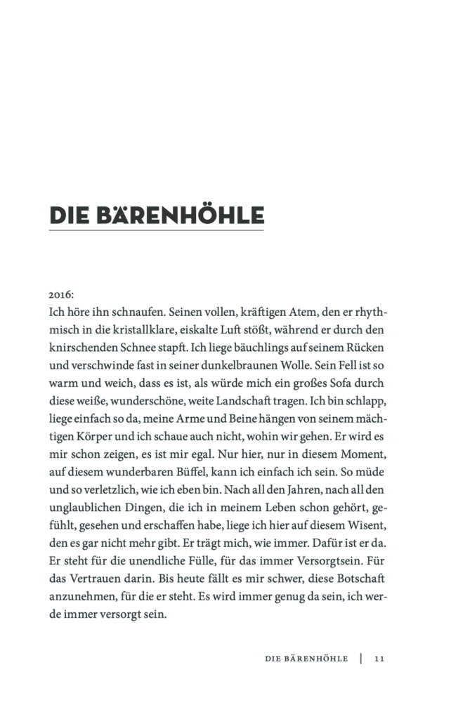 Pferde-Verstehen_DerRaumdazwischen_leseprobe_Seite11