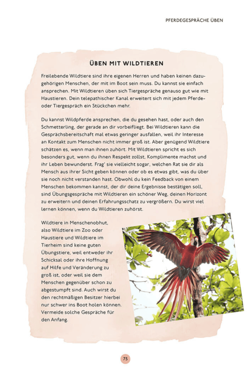 Pferde-Verstehen_GesprächemitdeinemPferd_leseprobe_Seite75