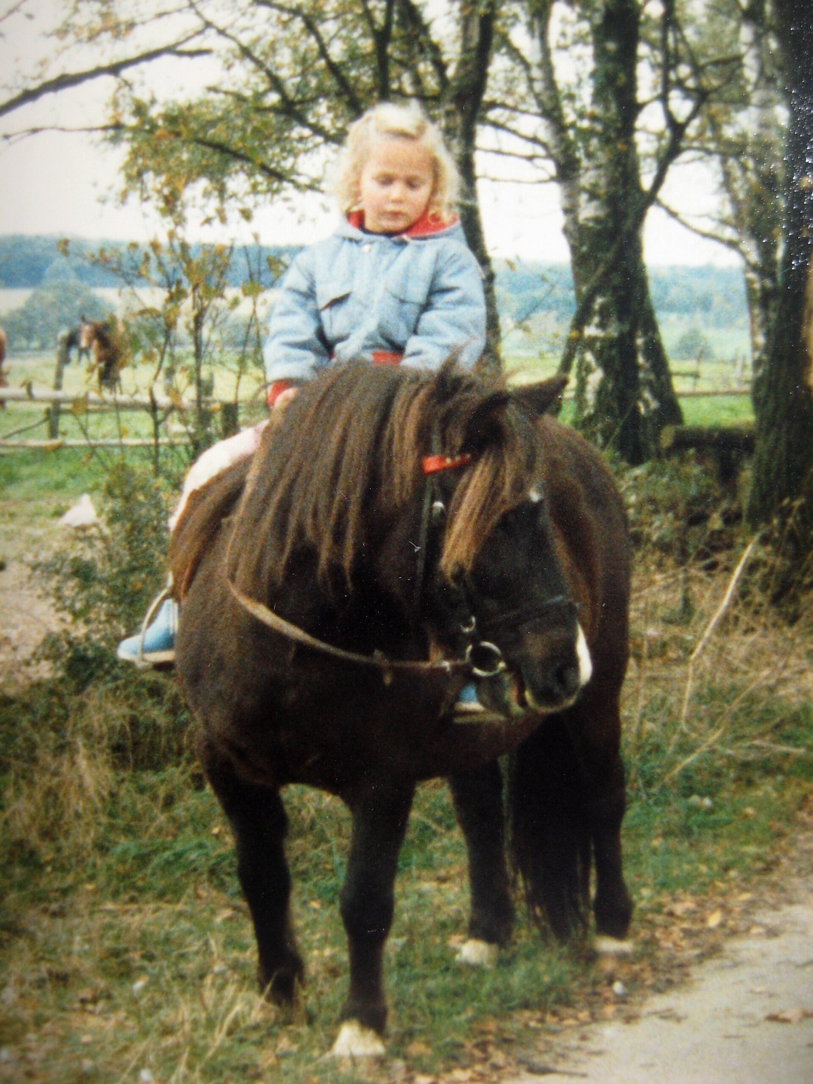 Ein Mädchen reitet ein Pony