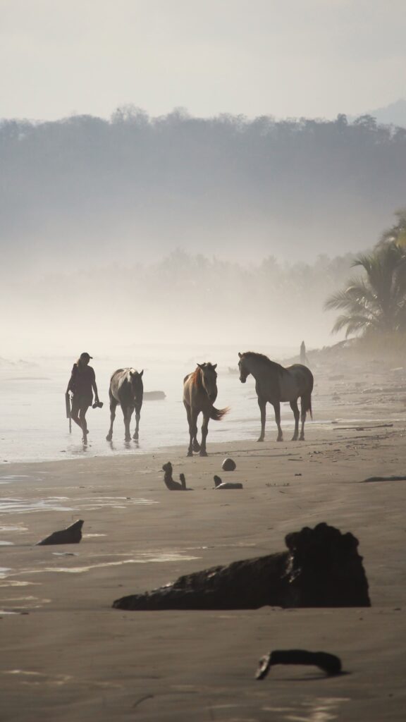 Catherin Seib Ausbildung Tierkommunikation in Costa Rica am Strand